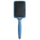 Duo de brosses Nanothermique PEACOCK 