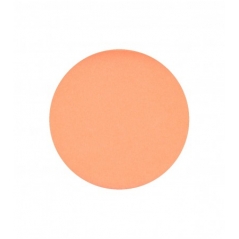 Godet ombre à paupière mat 