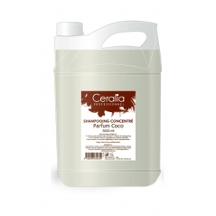 Shampoing concentré à la noix de coco