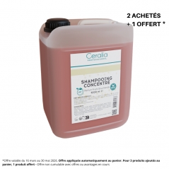 Shampoing concentré